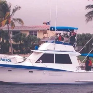 ELECTRA VI